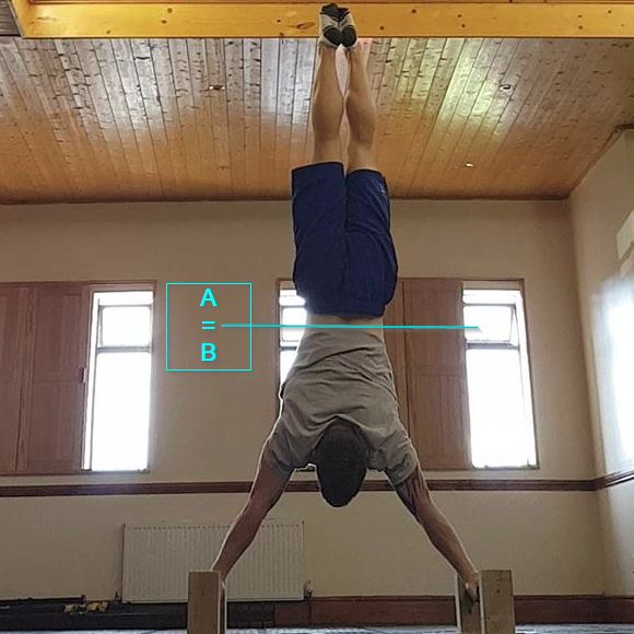 Handstand - z Plane